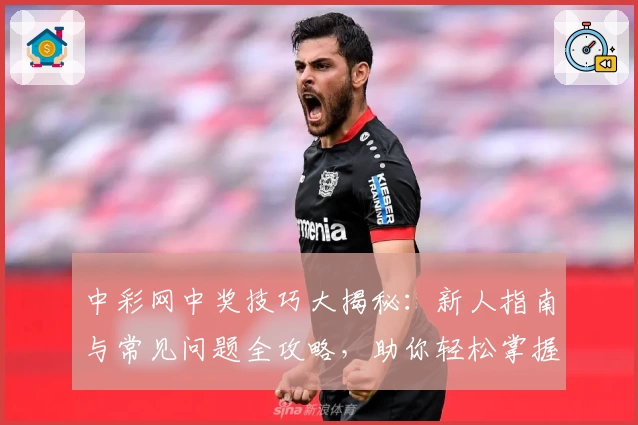 中彩网中奖技巧大揭秘：新人指南与常见问题全攻略，助你轻松掌握玩法秘诀