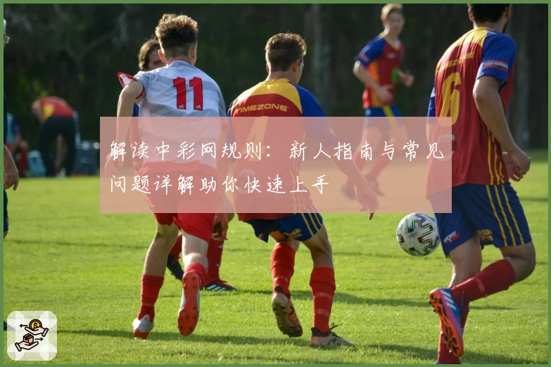 解读中彩网规则：新人指南与常见问题详解助你快速上手