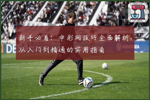 新手必看：中彩网技巧全面解析，从入门到精通的实用指南