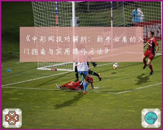 《中彩网技巧解析：新手必看的入门指南与实用操作方法》