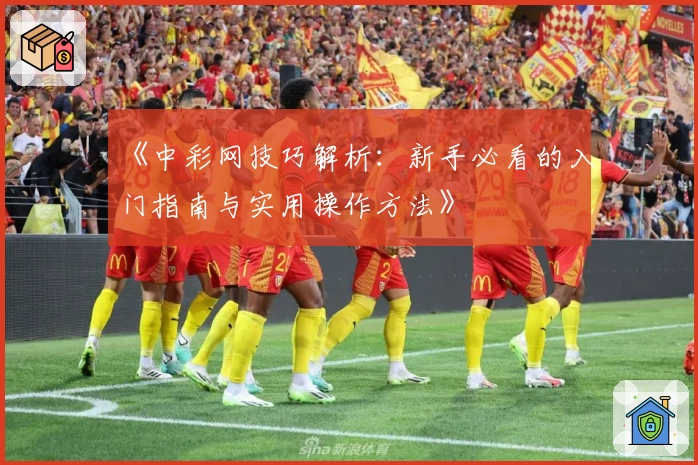 《中彩网技巧解析：新手必看的入门指南与实用操作方法》