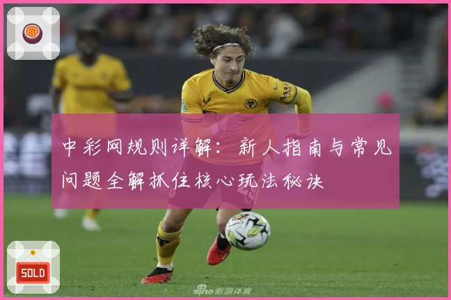 中彩网规则详解：新人指南与常见问题全解抓住核心玩法秘诀