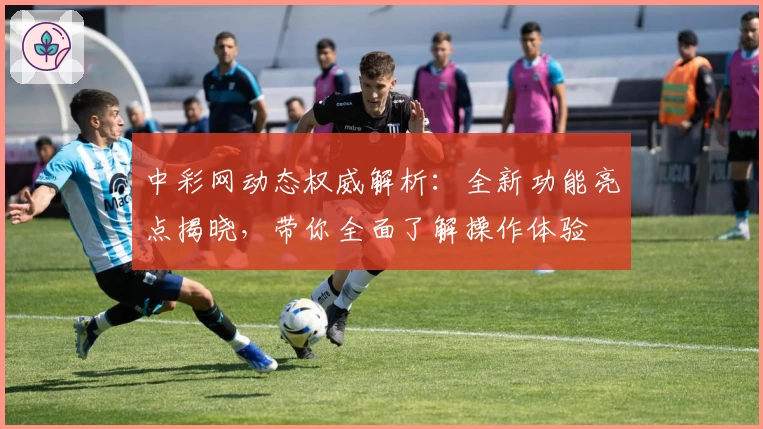 中彩网动态权威解析：全新功能亮点揭晓，带你全面了解操作体验