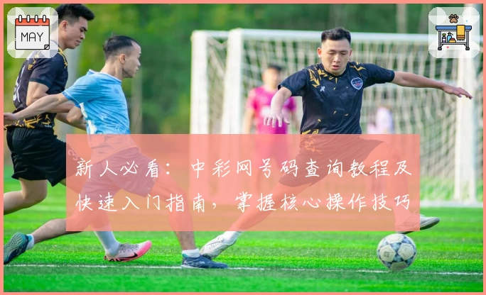 新人必看：中彩网号码查询教程及快速入门指南，掌握核心操作技巧