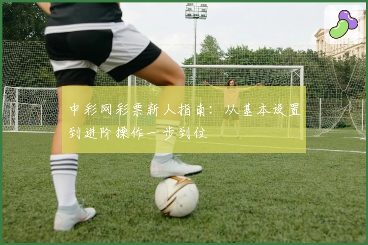 中彩网彩票新人指南：从基本设置到进阶操作一步到位